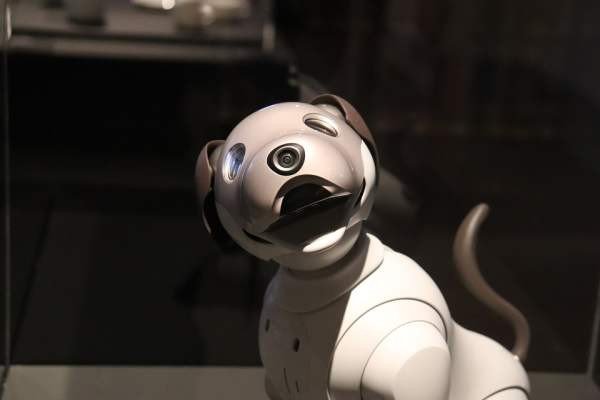 В России создадут робота-собаку для транспортировки грузов