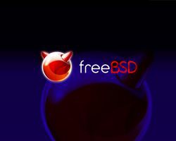 Спустя почти год с момента выпуска FreeBSD 8.2 участники проекта представили версию 9.0, где появилось множество новых функций и расширений. Источник: freebsd.org